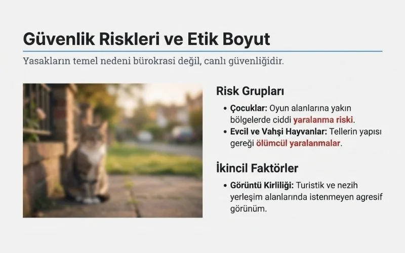 Güvenlik ve Yasal Riskler