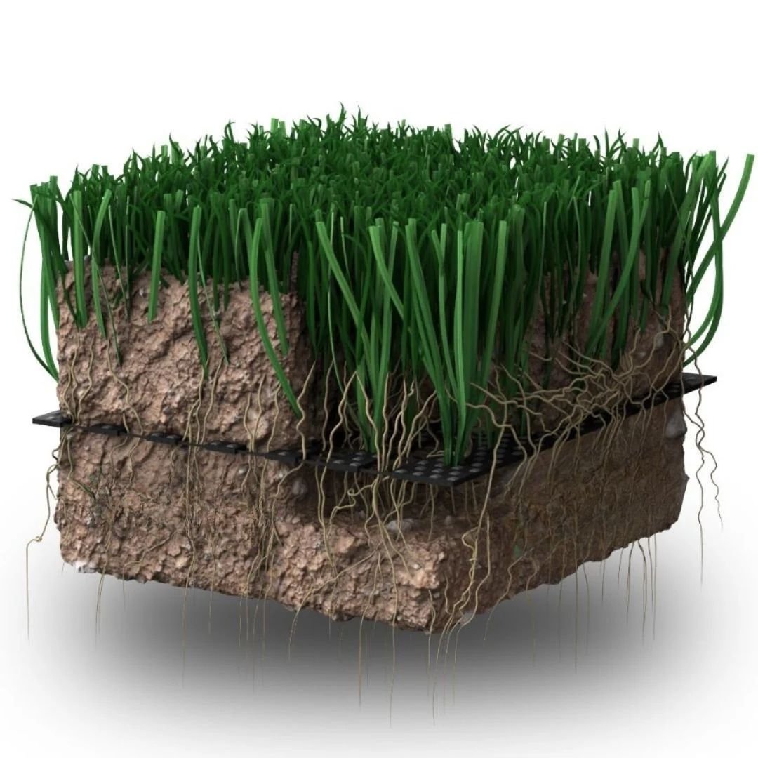 55mm Hibrit Çim 55mm Hibrit Çim