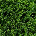 Cleopatra Line Grass Suni Çim