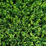 Dogu Grass Suni Çim