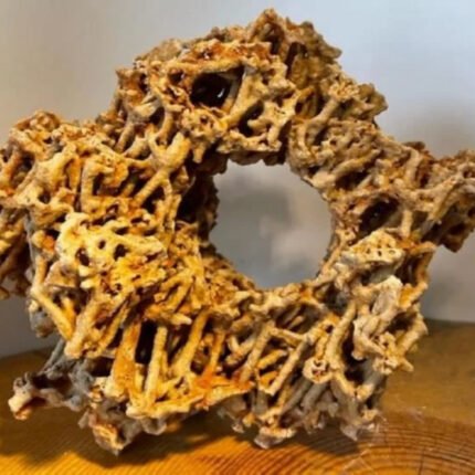 Spaghetti Aquarium Taşı