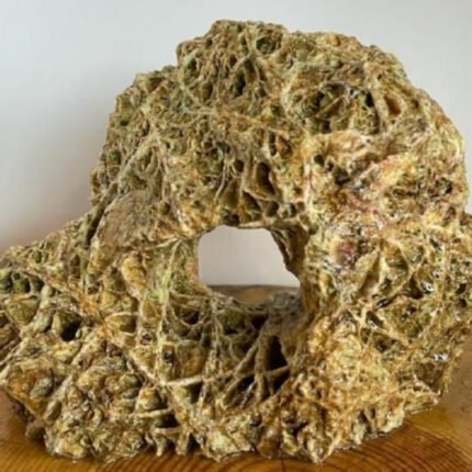 Spider Aquarium Taşı