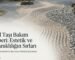 Çakıl Taşı Bakımı Nasıl Yapılır