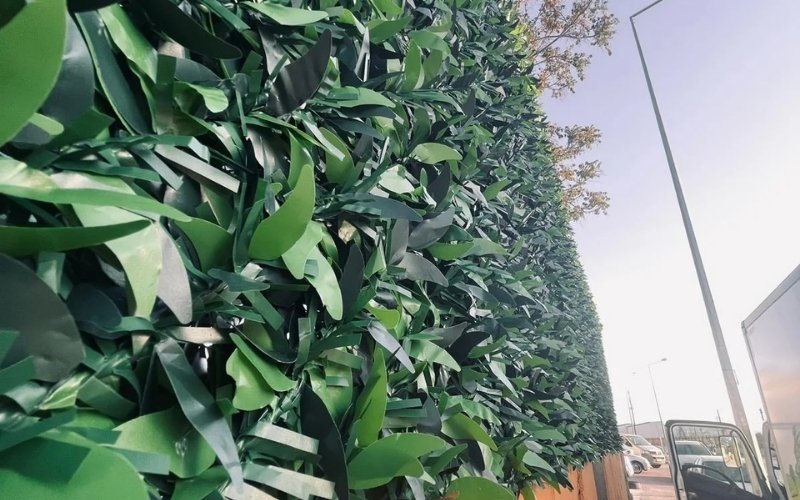Fabrika ve İşletme Çevresinde Çim Çit Kullanımı 30 Fabrika Çevresinde Yapraklı Çim Çit Kullanılır mı