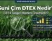 Suni Çim Dtex Nedir