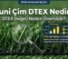 Suni Çim Dtex Nedir