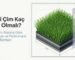 Suni Çim Kaç mm Olmalı